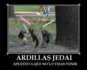 Ardillas Jedi